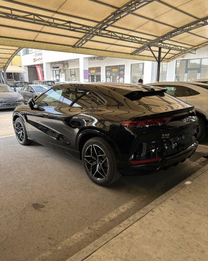 BYD song L 5-позиция