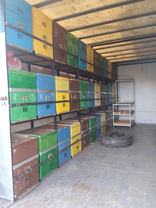 Camion apicol Man an fabricație 2005