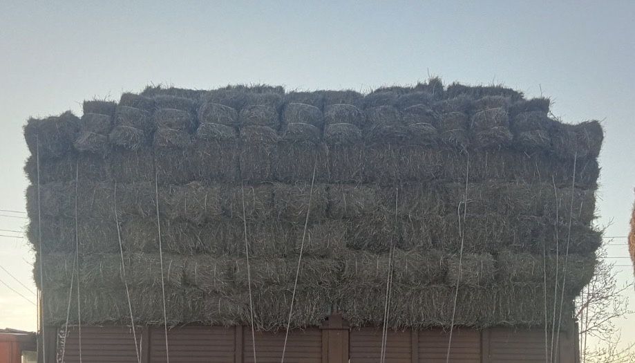 Продам сено зеленка находимся в районе восточного