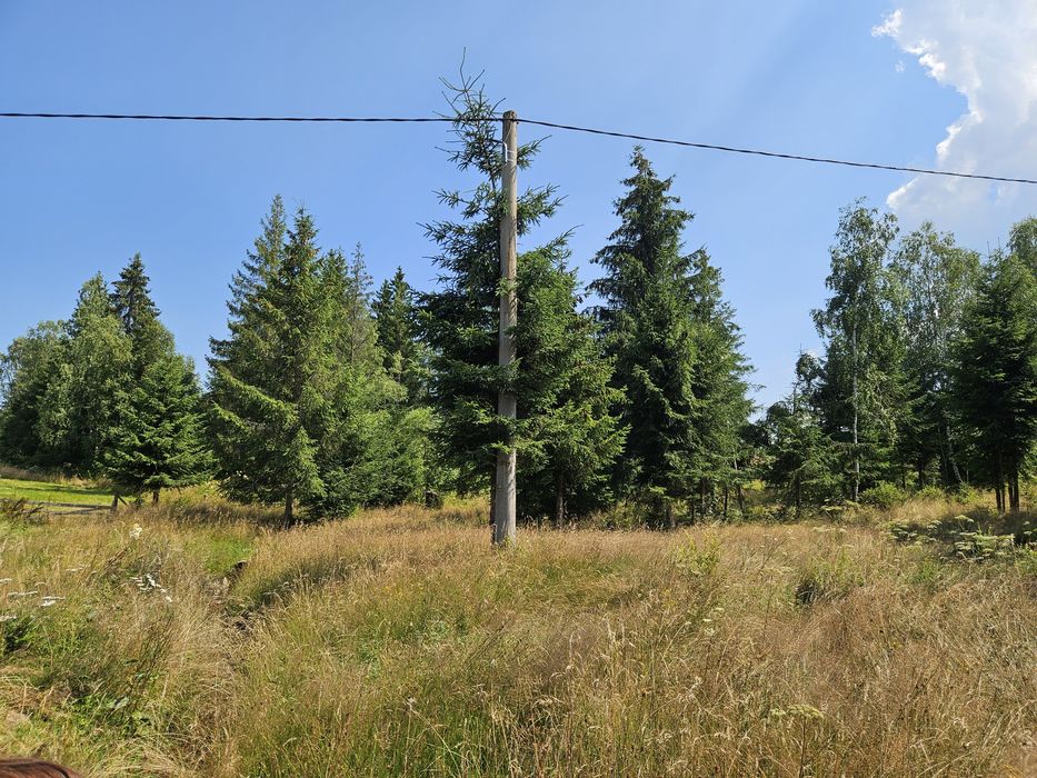 Teren Dealu Negru de vanzare, la 3 km de Belis