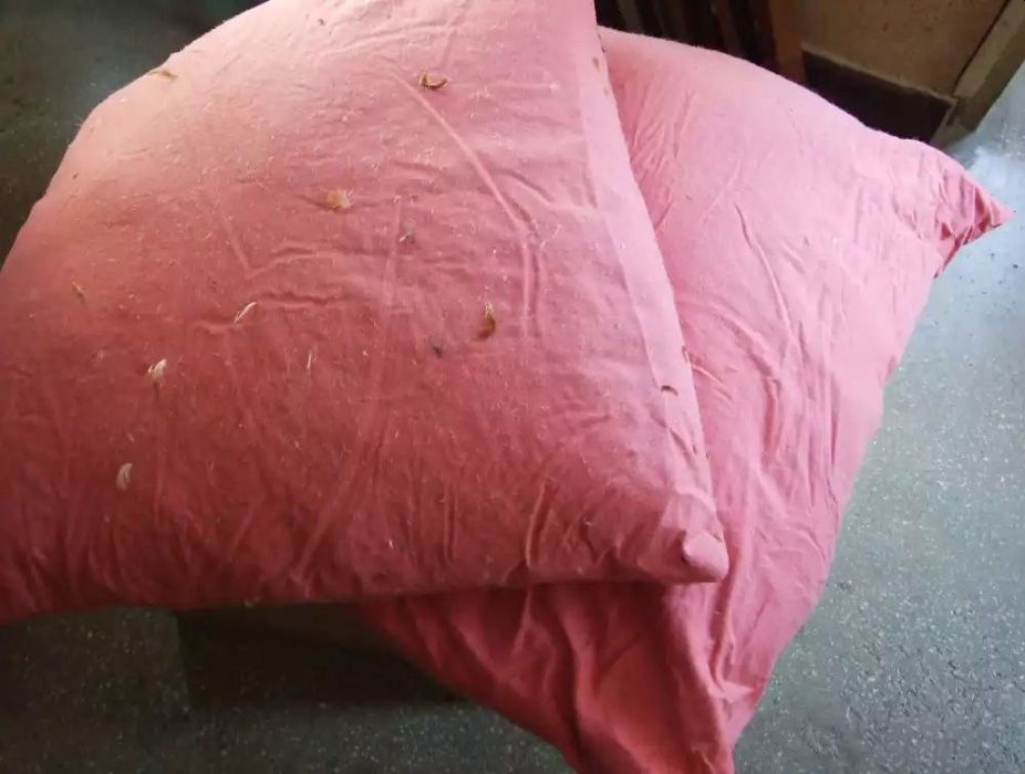 4 perne mari umplute cu puf /pene