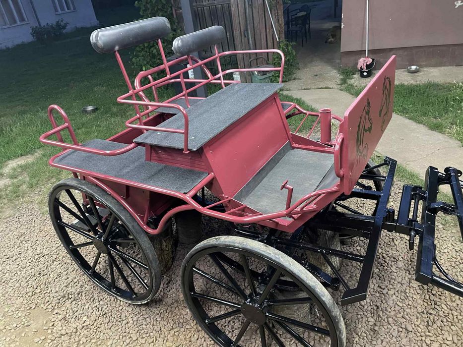 Trasura maraton si ham de un cal de vanzare!