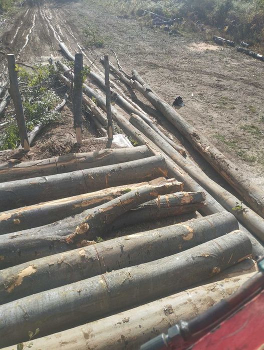 Дърва за огрев дъб,бук,габър и цер