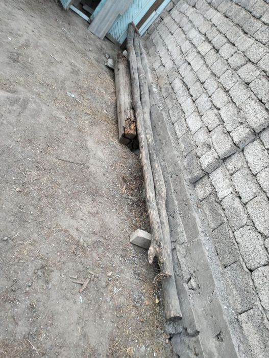 Тусин холати зур