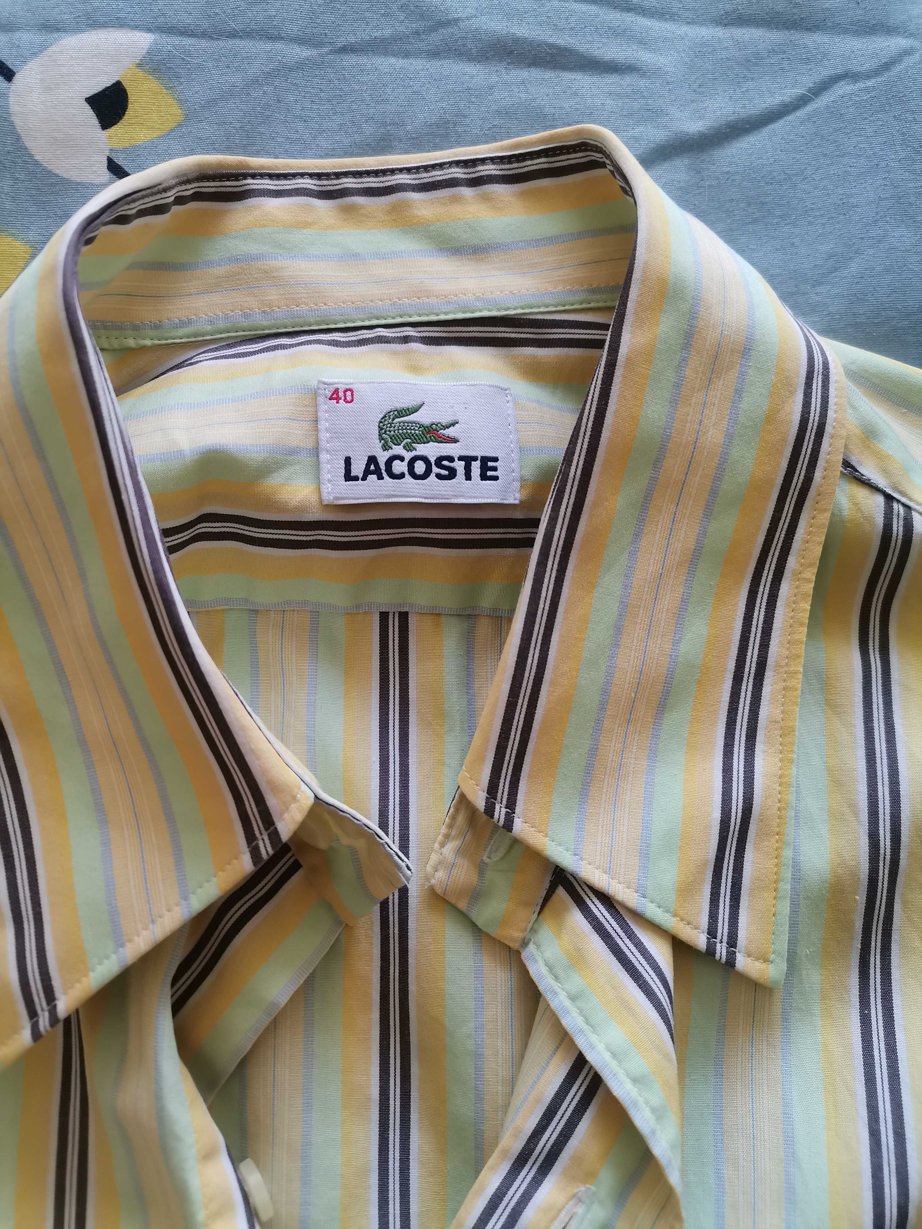 Риза Lacoste - 30лв.