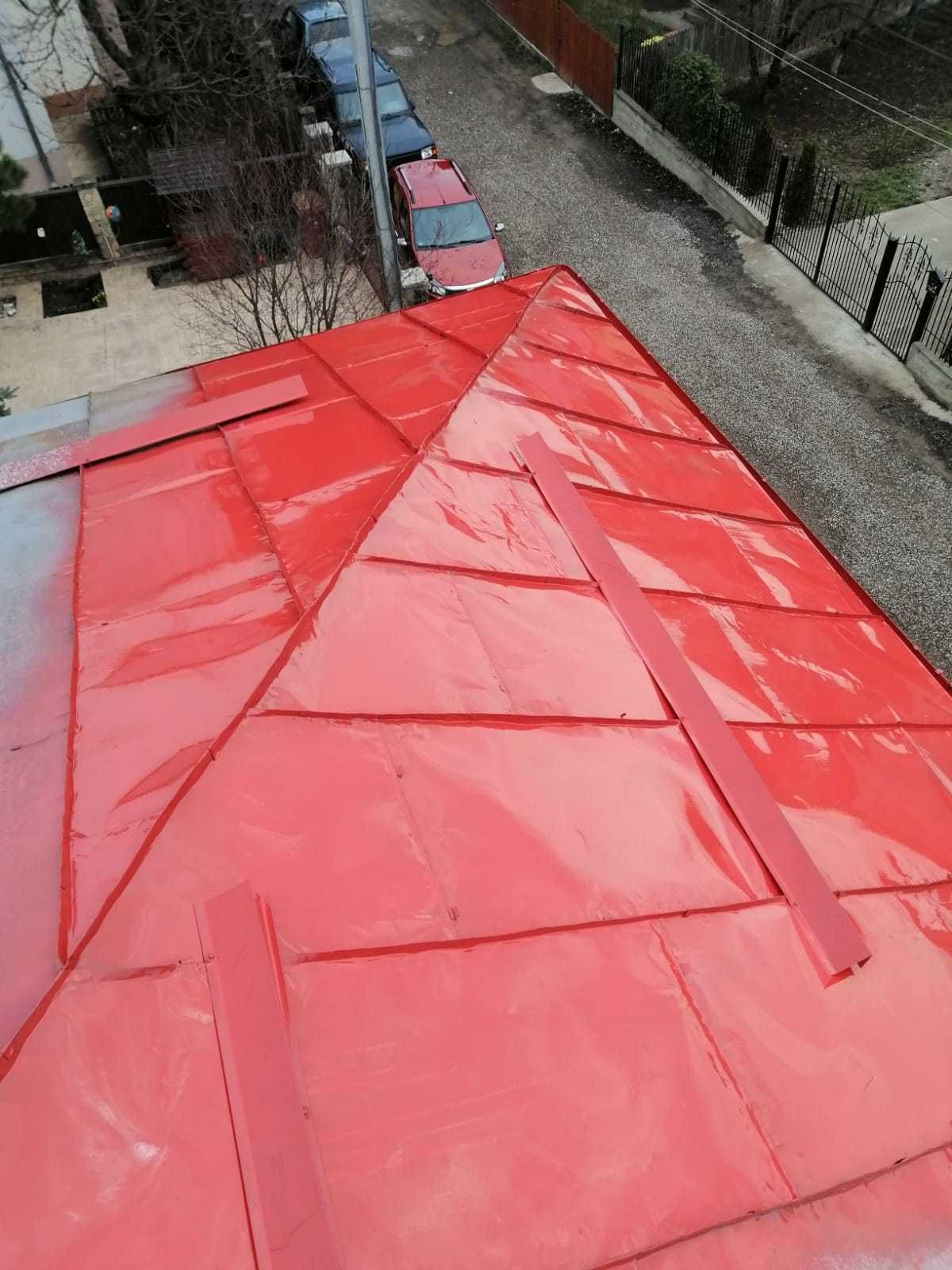 Vopsitor la tabla pe acoperis la casa, blocuri si alte suprafete