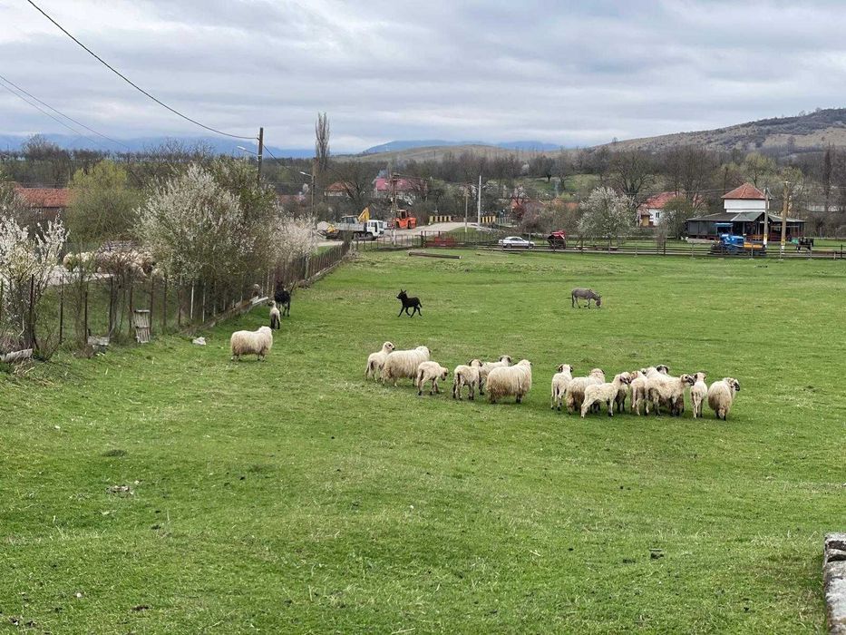Casă de poveste, intr-un loc de poveste