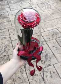 Trandafir criogenat XXL