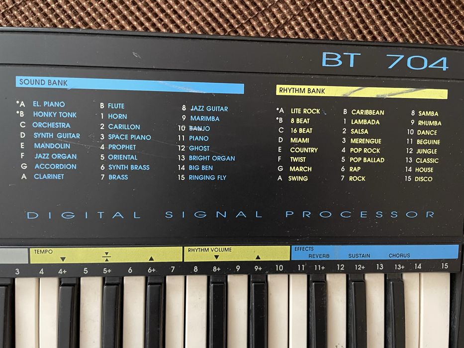 Orga pentru copii incepatori