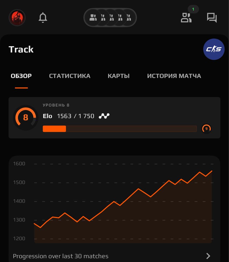 Faceit 8lvl ne smurf akk 350 igr + Cs2 prime akkaunt