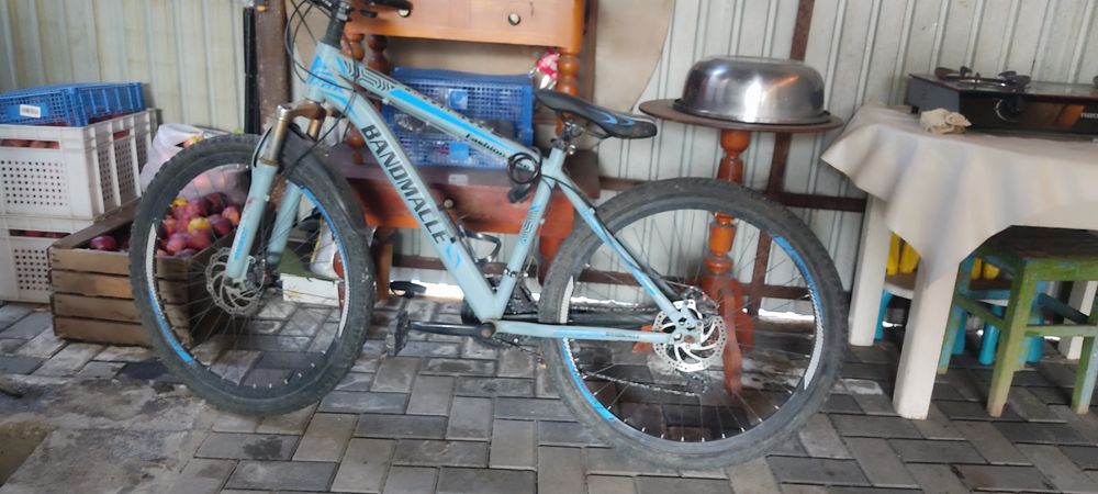 Велик BANDMACLE в есике