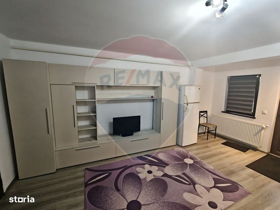 Apartament cu o cameră de inchiriat Vlad Țepeș