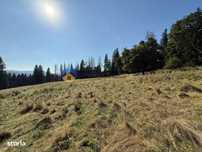 Teren de vanzare 5000 mp – Piatra Neamt