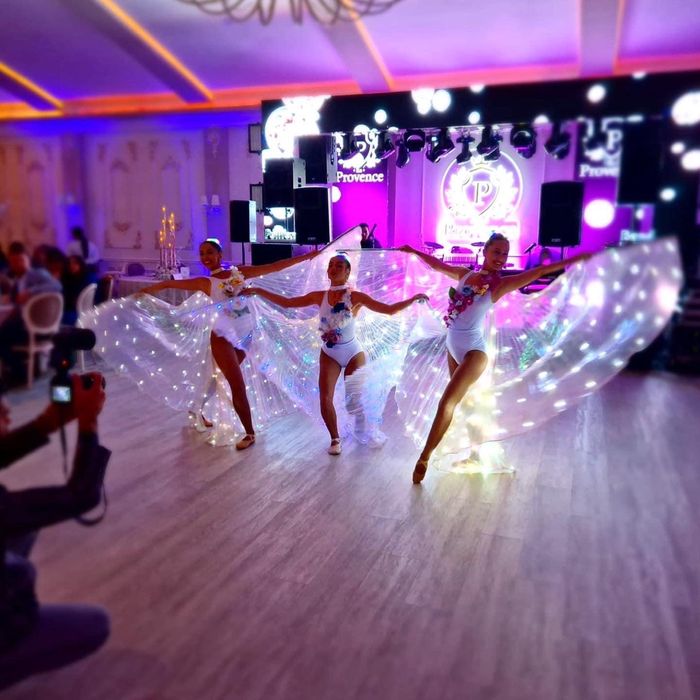 Dansatori profesionisti,ursitoare, hostesse sau animatori