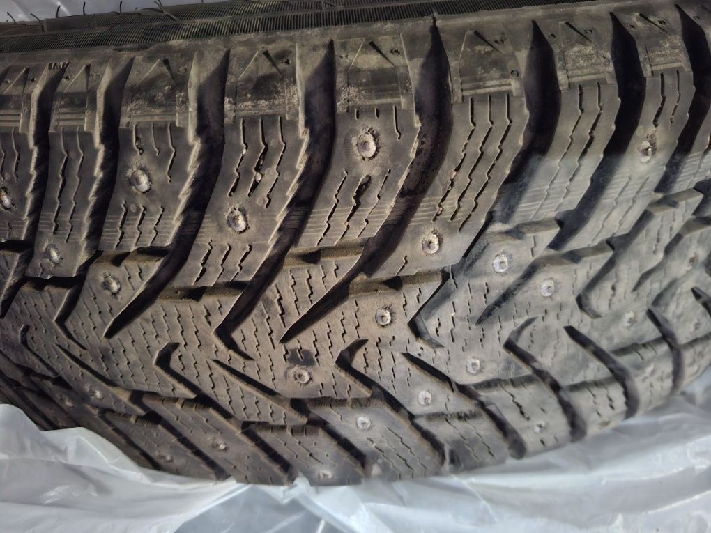 Шиный зимние ikon tyres nordman 8 suv