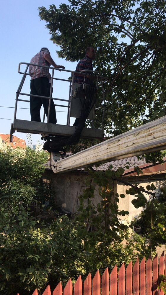 Taiere copaci, Toaletare copaci, pomi periculosi