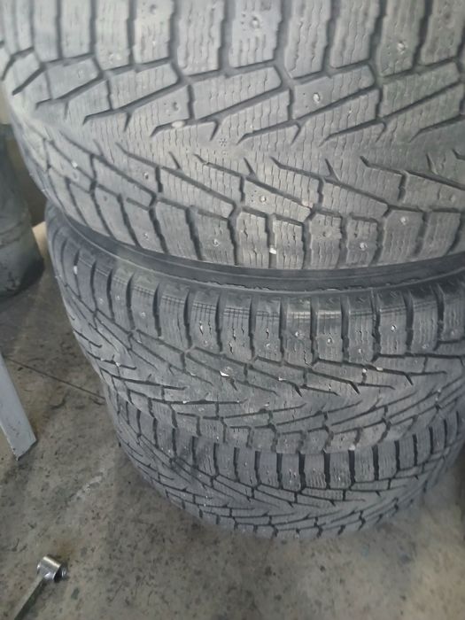 Шины зимний нокиан