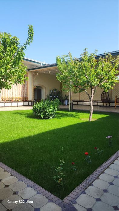 Газон Микроклимат  Палив хизматлари уйигизга ёки офисга тақдим этамиз