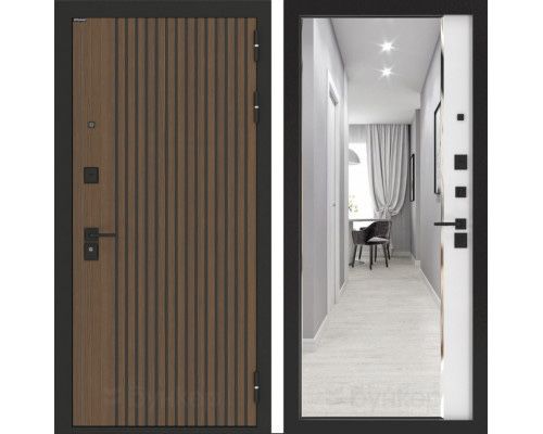 Дверь, Входная дверь