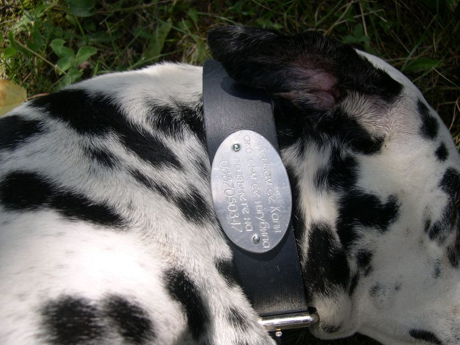 Изработка на медальони за кучета