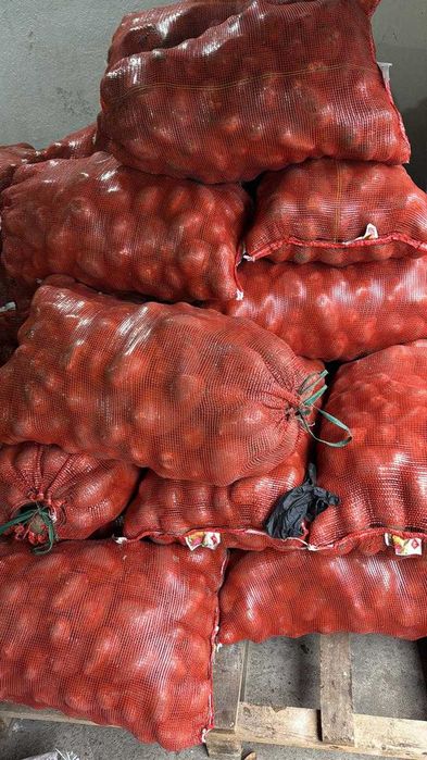 Продам Картофель оптом