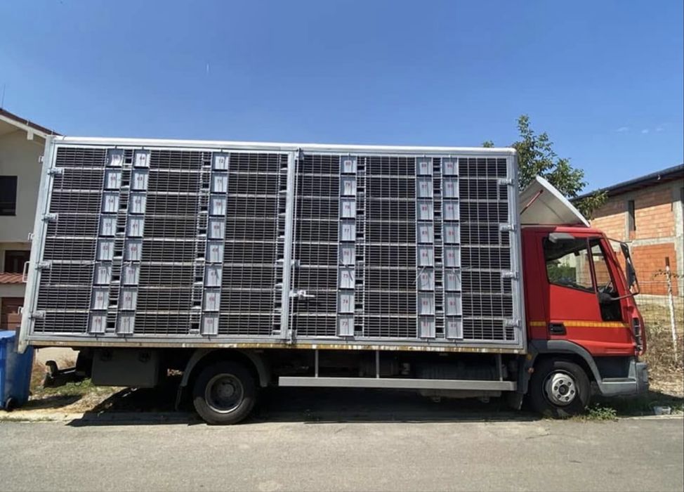 Autospeciala transport porumbei