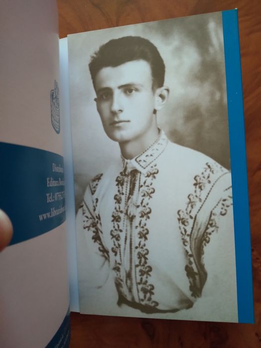 Testamentul unui nebun de Ioan Ianolide