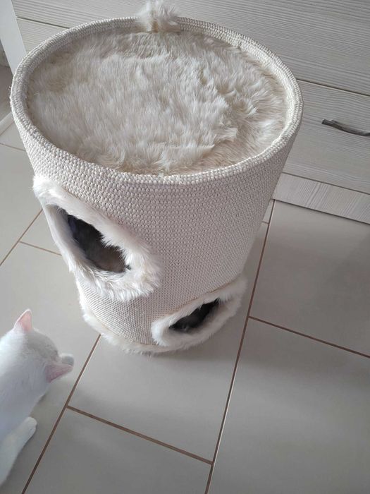 Vand ansamblu joaca si dormit pisica