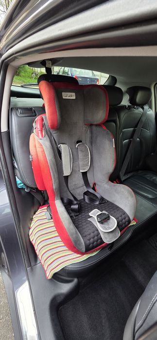 Scaun auto copii coccole argo isofix