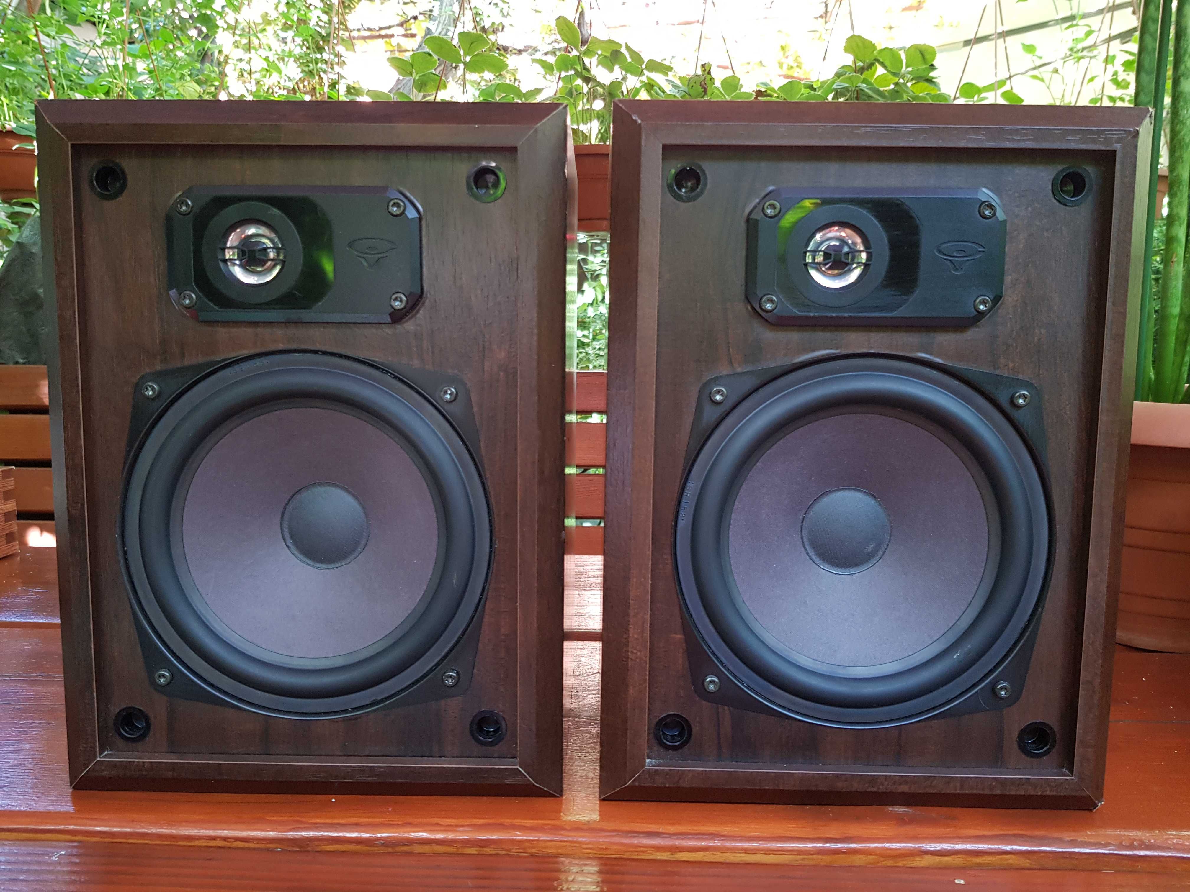 Boxe Cerwin Vega AT-12SW / 100W / 8 Ohm / Protectie Tweetere