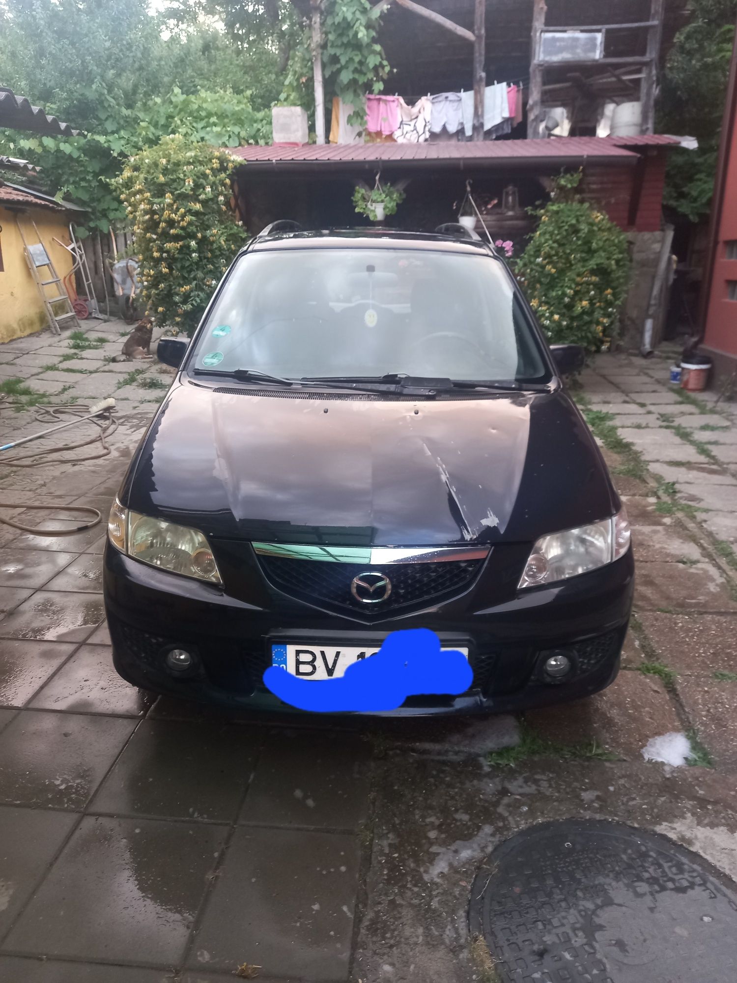 Mazda Premasy diesel