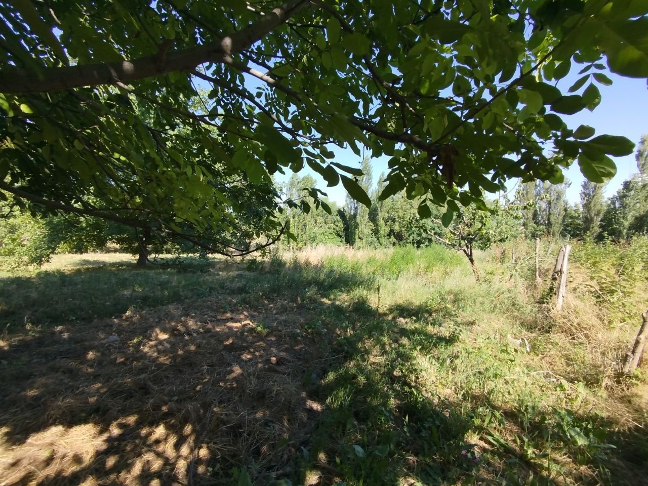 Ховли үй сотилади