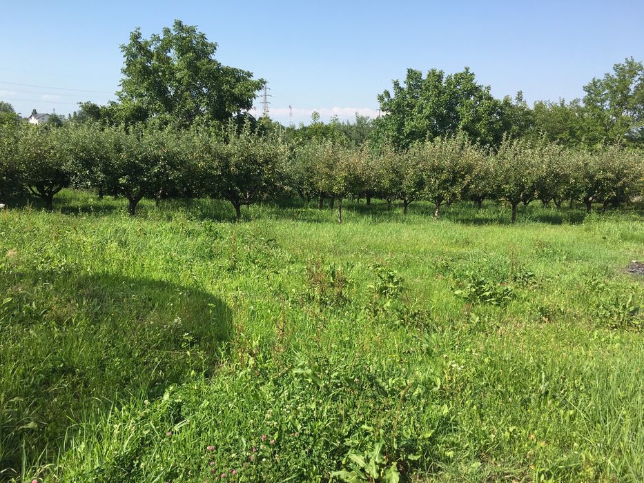 Vind teren in Turcești ,Pitesti