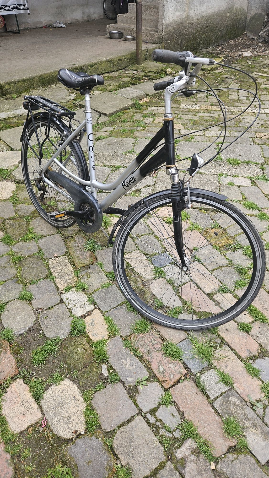 Biciclete olandeze