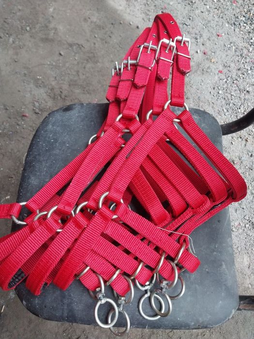 Ot nuxta Toy nuxta Mol nuxtalar optim ishlab chiqaramiz va sotamiz