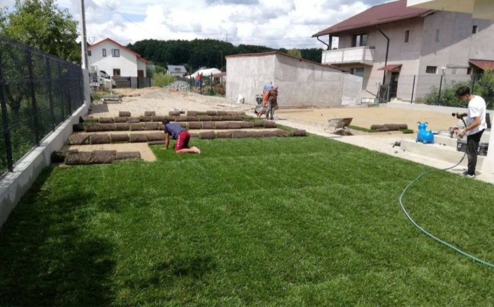 Gazon rulou sport calitate extra oriunde in tara