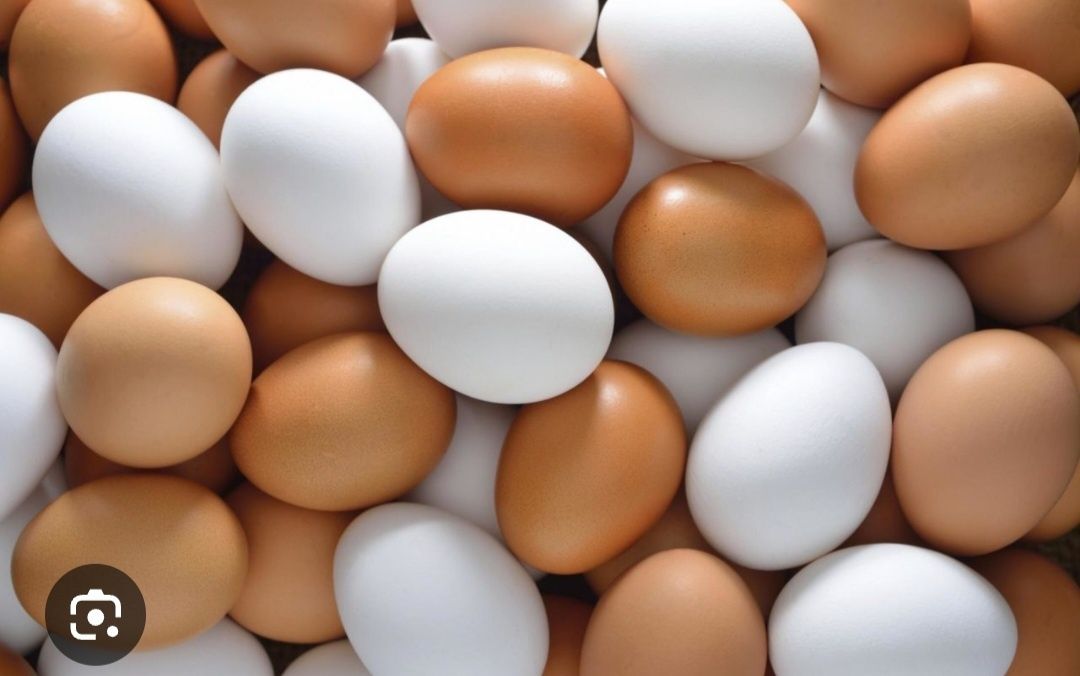 Яйцо домашнее 600 тенге десяток