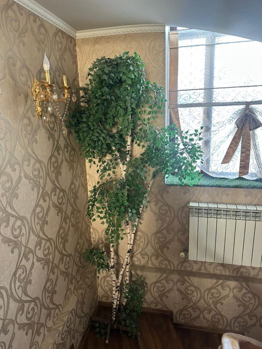 Отдам даром искуственные растения декор