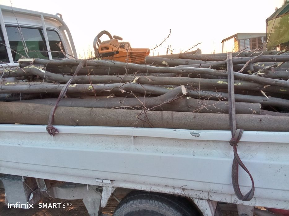 Мевали дарахт ўтинлари