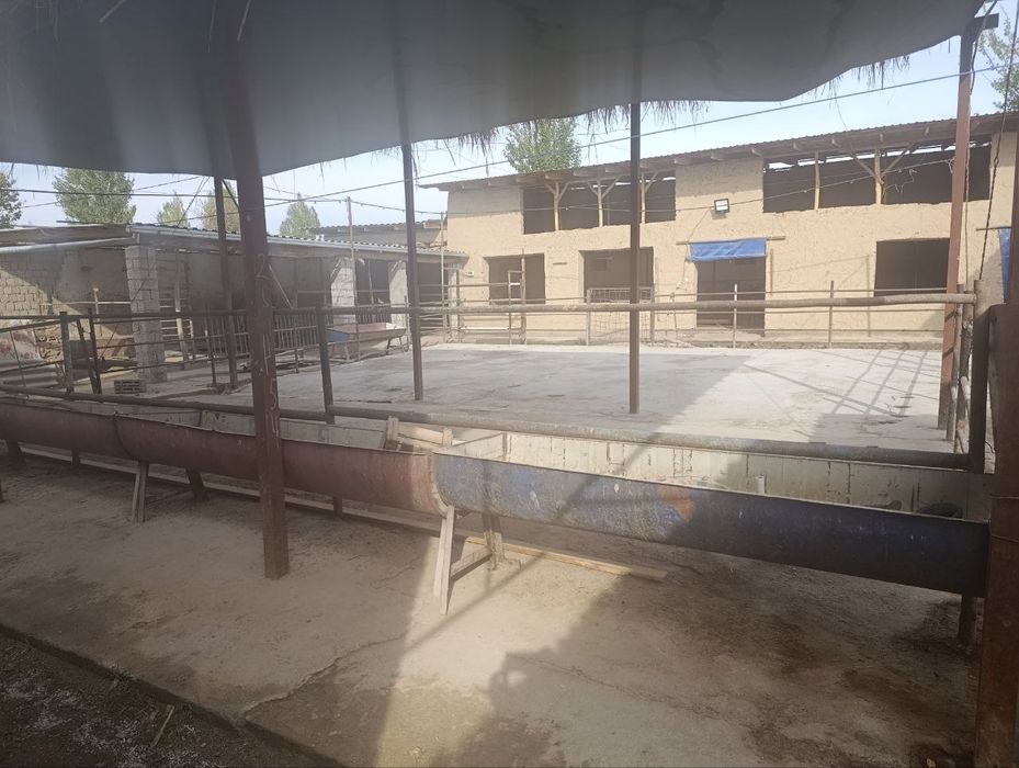 Uy /fema 8 sotix 3 ta xona oshxona