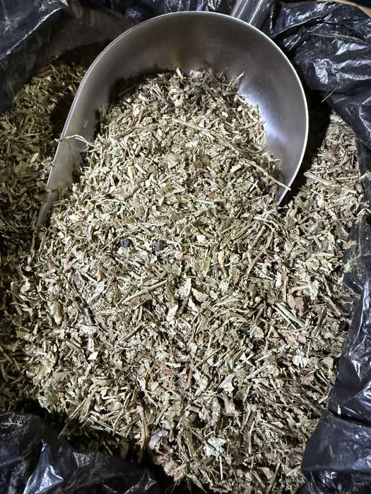 черника лепестка