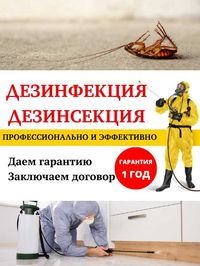 Дезинфекция Уничтожение тараканов клопов крыс муравьев ос блох мошек