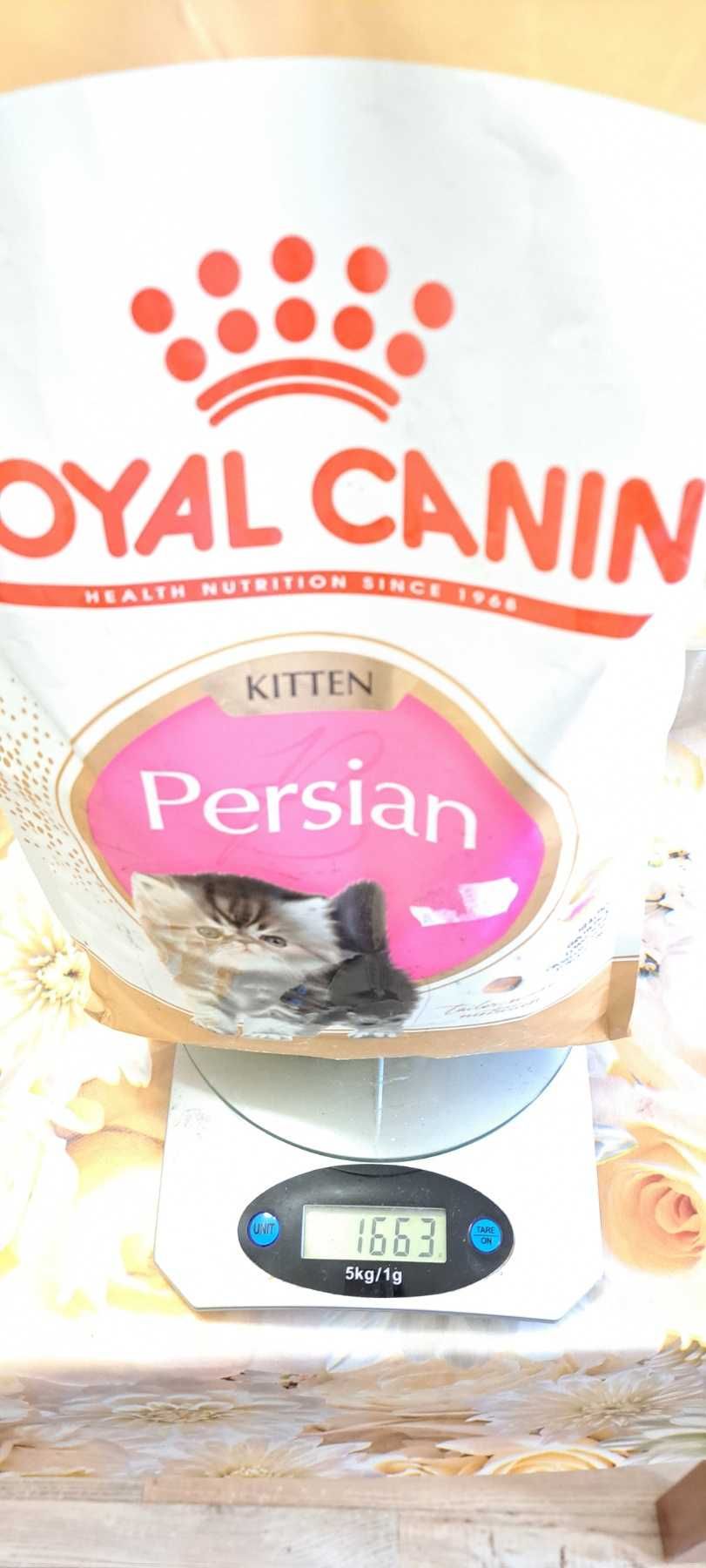 Royal Canin Persian Kitten- суха храна за малки котенца