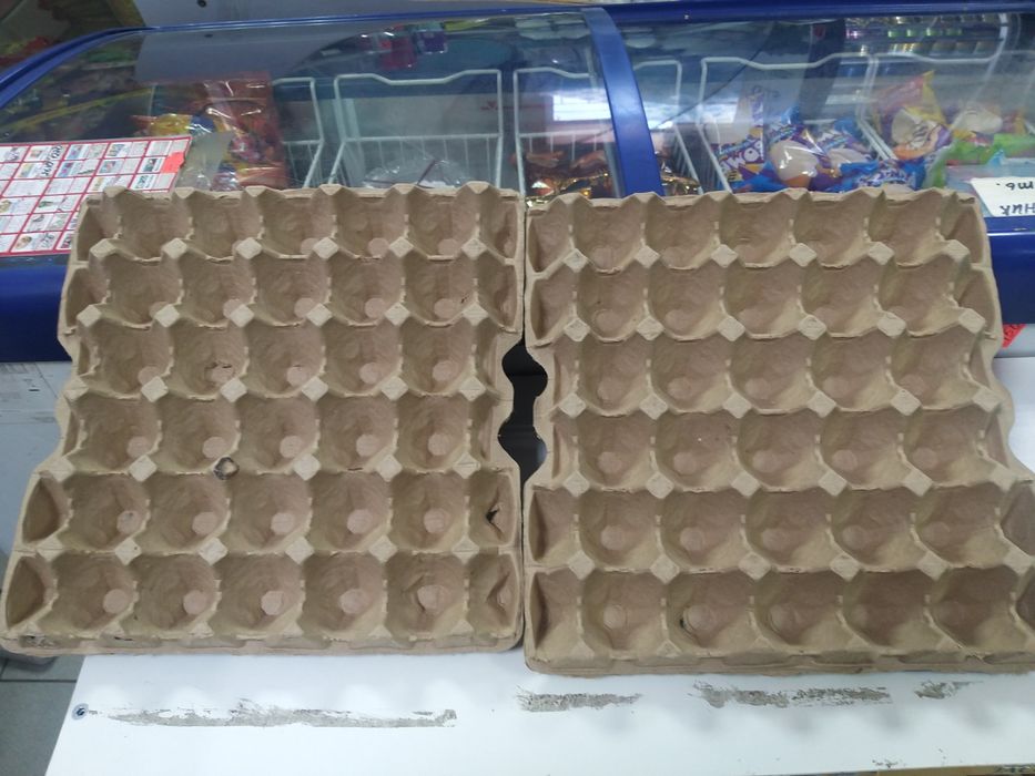 продам яичные лотки за 10 шт.