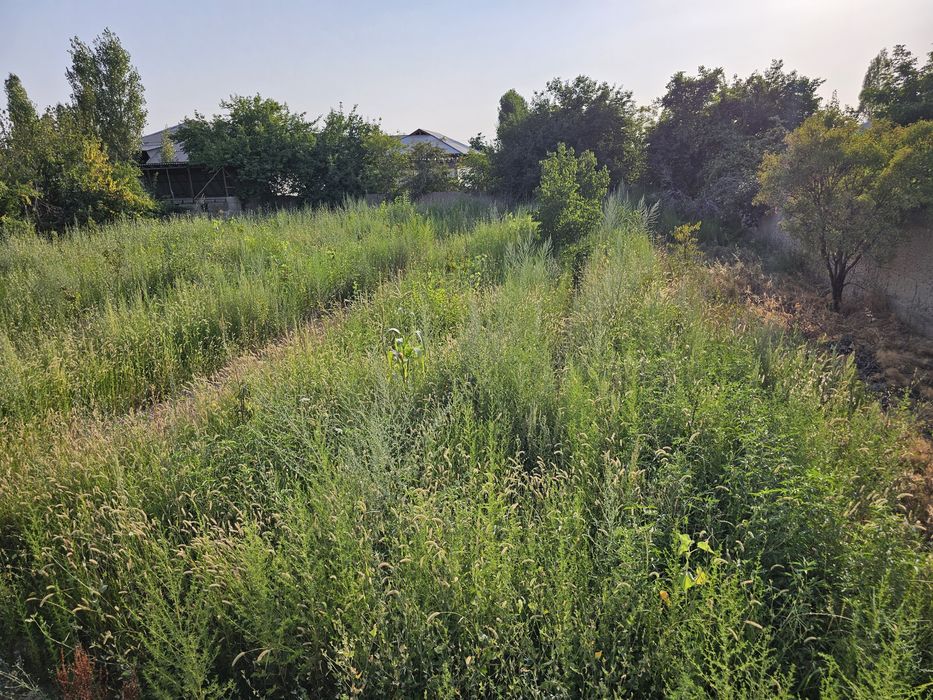 Qochqorchi mfy da chek sotiladi