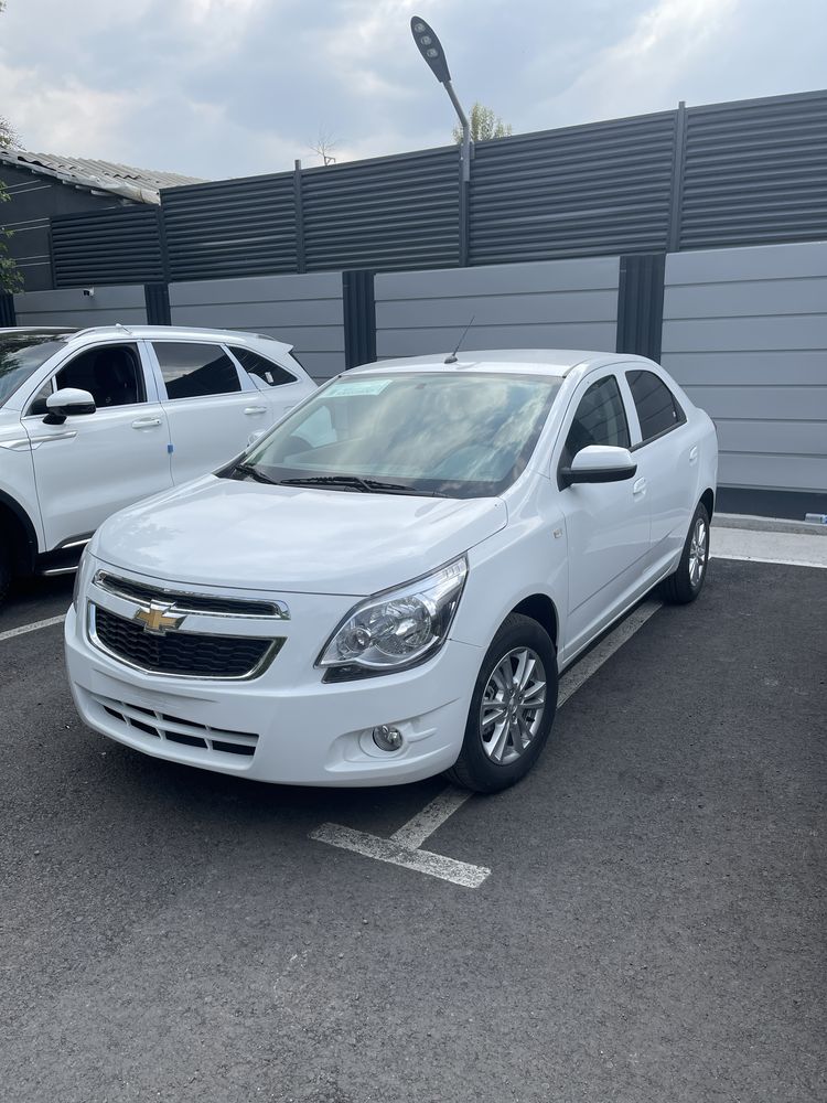 Yangi Oq Style Cobalt 2025