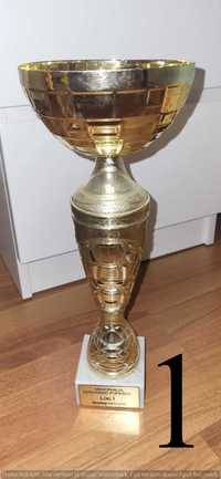 Cupe de colecție câștigate la competiții