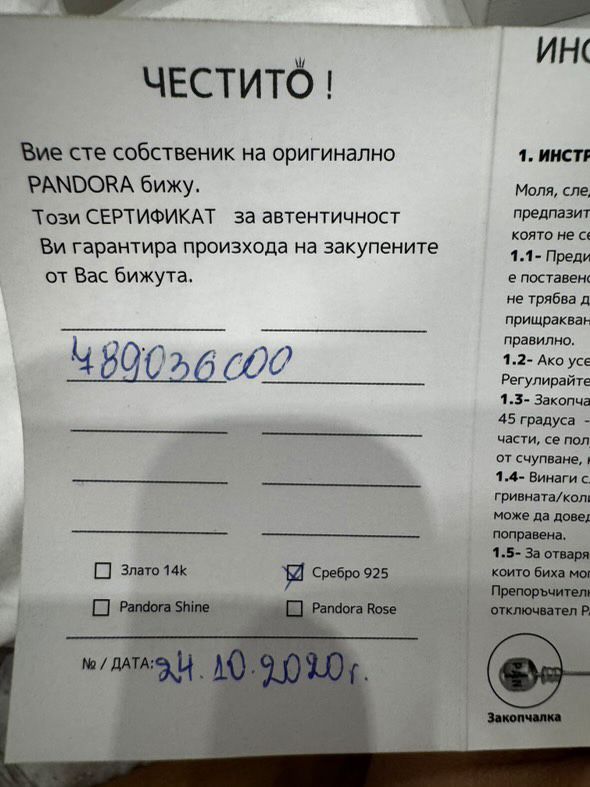 Сребърна Висулка Pandora
