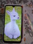 Telefoane mobile Smart și clasic
