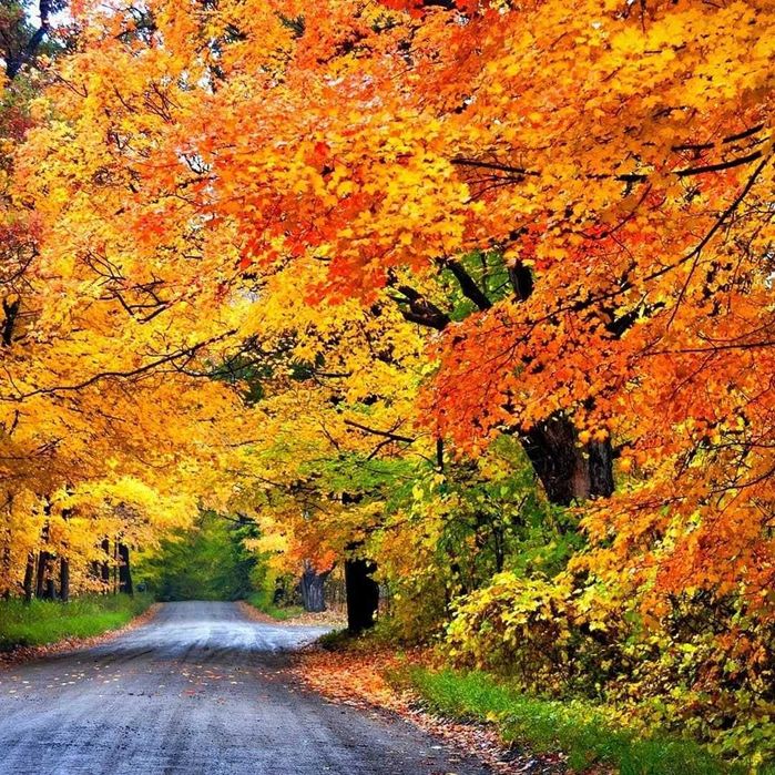 VIDEO: ПРАЗДНИК ОСЕНИ в д/с, свадьбы, дни рождения детские и взрослые